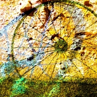 johann-moser.TRIO.2010.1224.1646.08