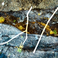 johann-moser.TRIO.2010.1215.1524.23