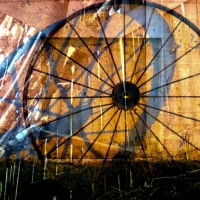 johann-moser.TRIO.2010.1224.1648.19