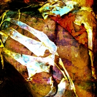 johann-moser.trio.2010.1202.1336.13