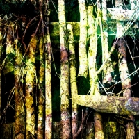 johann-moser.trio.2010.1201.1811.25