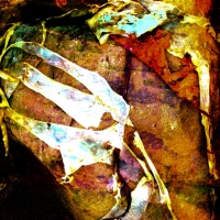 johann-moser.trio.2010.1202.1336.13