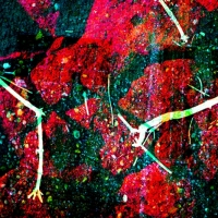 johann-moser.trio.2010.1208.2124.44