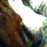 johann-moser.trio.2010.1210.2128.16