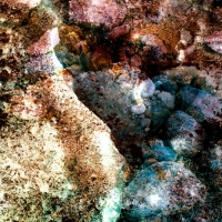 johann-moser.trio.2010.1210.2128.53