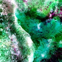 johann-moser.trio.2010.1210.2129.06