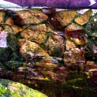 johann-moser.trio.2010.1210.2220.09