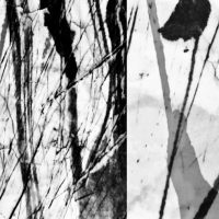 gg-2019-0323-2301-57