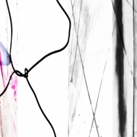 gg-2019-0325-2137-27