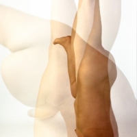 johann.moser-2017.1105.0000.00