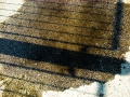 dscn7286-1