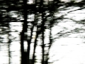 dscn8880-3 dscn8880-3