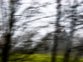 dscn8940-12