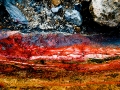 img_3970-88 img_3970-88
