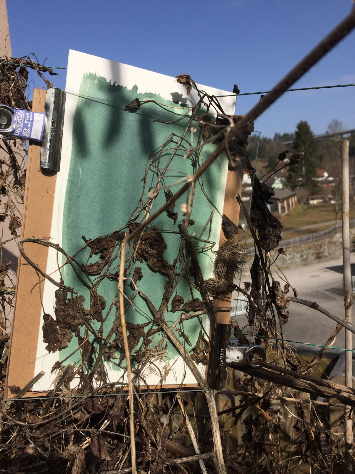 Was übrig bleibt Cyanotypie Standpunkte zur Kunst von Johann Moser